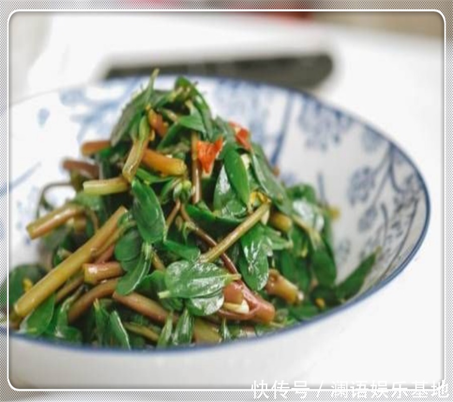 就可以|马齿苋这样做太香了,不炒不凉拌,一人吃一盘,比吃肉还香
