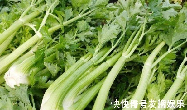 分解酶|天天和芹菜打交道,才发现芹菜的一种吃法还有毒,赶快告知家人