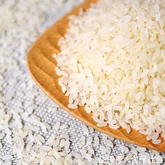 胚芽米|胚芽米真的适合宝宝?胚芽米到底是不是智商税?