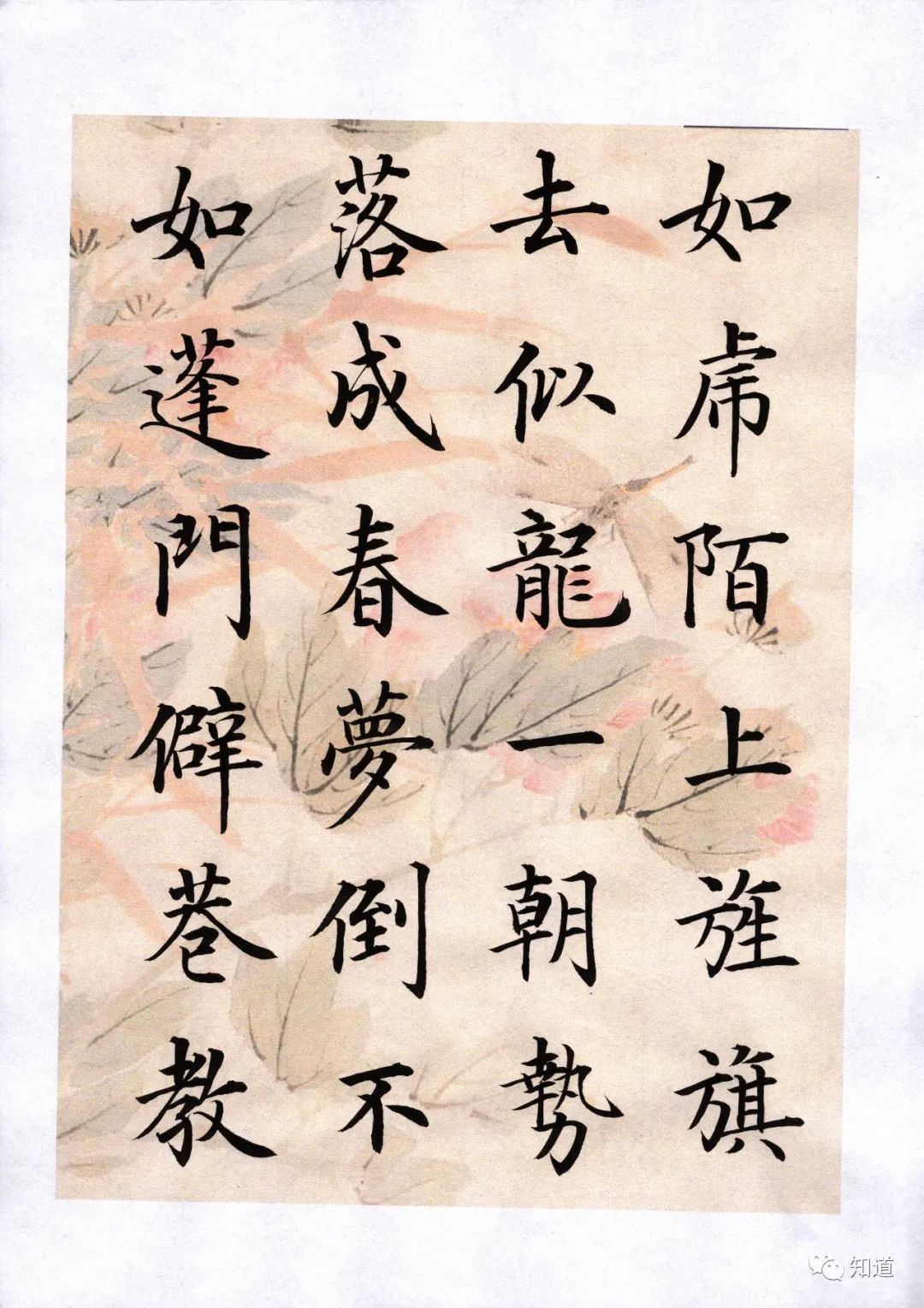 颜勤礼碑@书法故弄玄虚的常用语:悟、天赋、只可意会不可言传