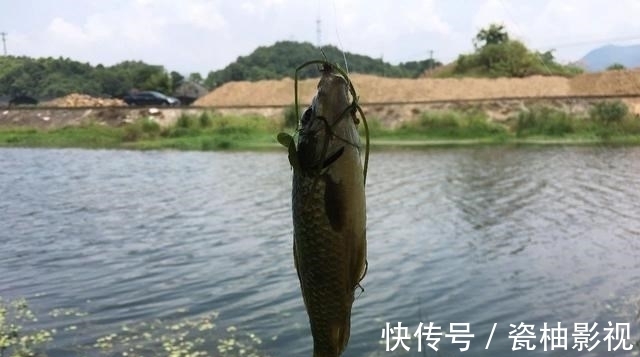 浮漂|如何判断窝子里有没有鱼?这几个方法一定要学会!