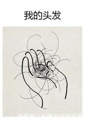 低价|国内有一“不起眼”洗发水,控油蓬松还防脱,却因“低价”被忽视