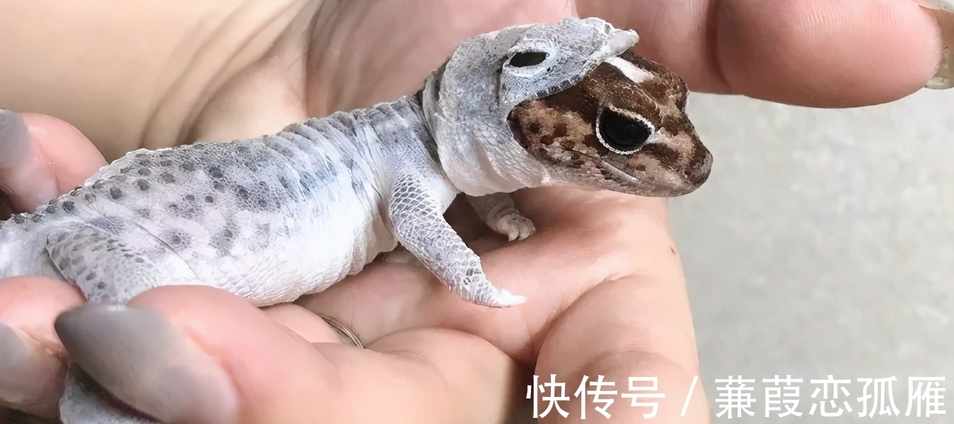 趣味冷知识分享,快来一起看看吧!