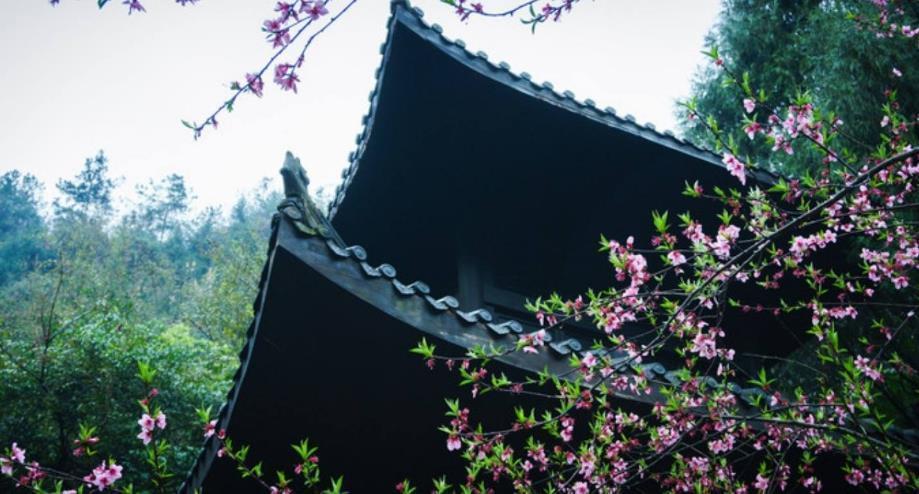 唐诗|科学家觉得白居易千古名句有错,登山考察了后,才知白居易有多牛