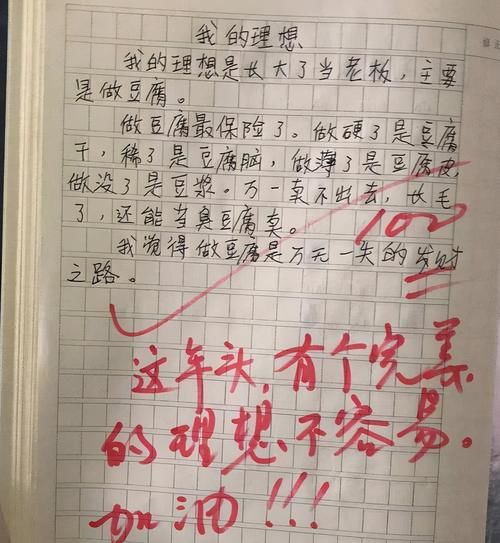 意义|小学生“满分作文”走红，老师潸然泪下，网友：被你的天真打败了