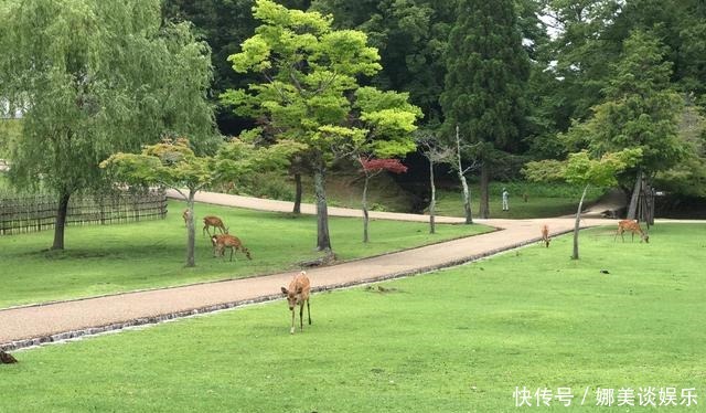 大名鼎鼎的正仓院，竟然是看着如此简单的悬空干栏式建筑