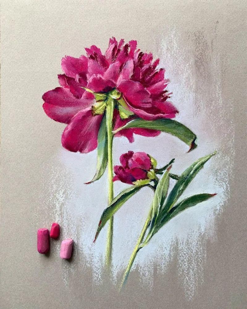 鲜花!太疯狂了!原来用粉笔画画,也可以这么美,简单几招教你,美到邻居羡慕嫉妒