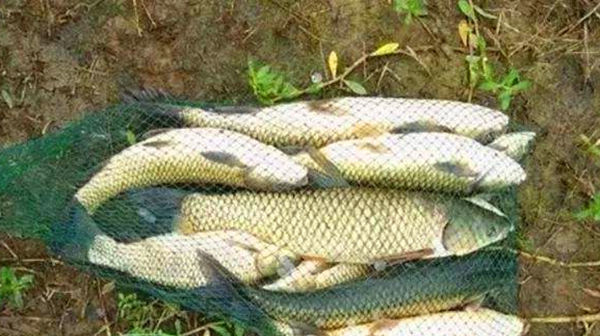 钓鱼绝杀技巧图解传说中的“放风筝”钓法,这是专钓大鱼的方法