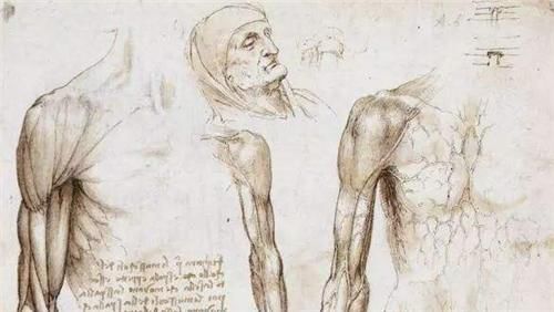  质疑|达芬奇为何被质疑是外星人？专家：你看他画的6000张手稿，就懂了