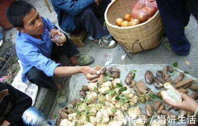 孟诜|人称“肾果”,是农村娃美味零食,如今野生不多,30元一斤