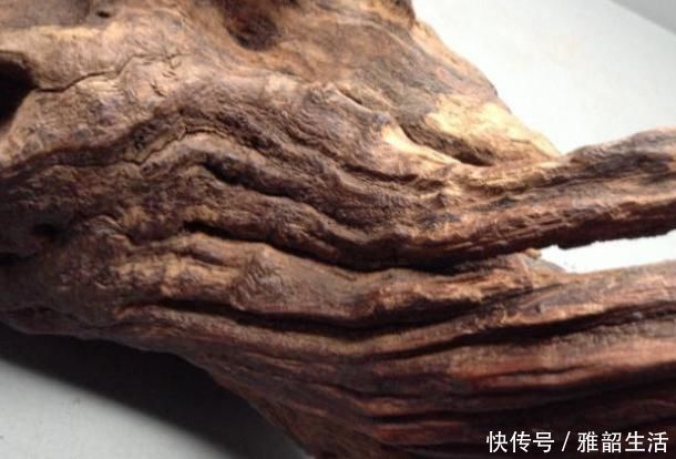 珠子|有一味中药即可收藏又可车珠子，还能通畅肠胃，祛脾胃寒气，暖肾