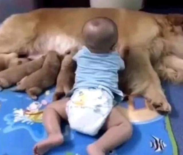 孩子|女子厨房做饭,发现孩子突然不见,着急出来寻找,结果却乐坏了