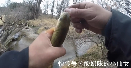 小个红果子做饵,水沟中也能钓获鱼,钓鱼人最爱了