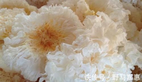 通便|它是肠道“保护伞”，每天吃一点，清肠排毒，便秘不来扰