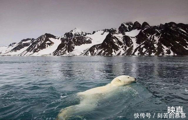 斯瓦尔巴群岛中国在海外的唯一土地，国人可自由出入，不需签证