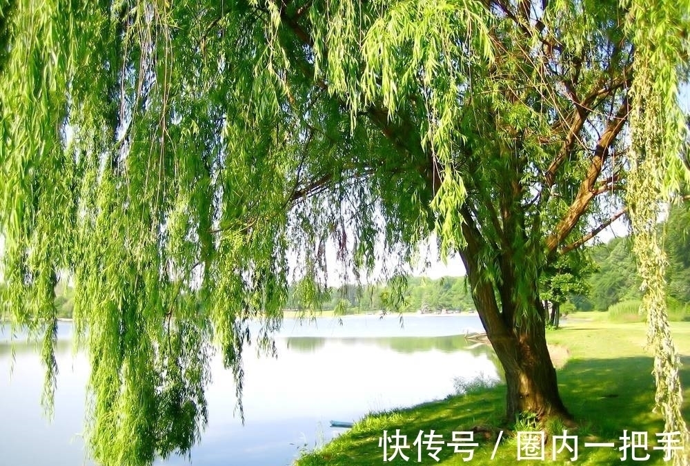 永遇乐!女才子泊舟金陵时,创作了一首感怀之作,充满了兴亡之叹