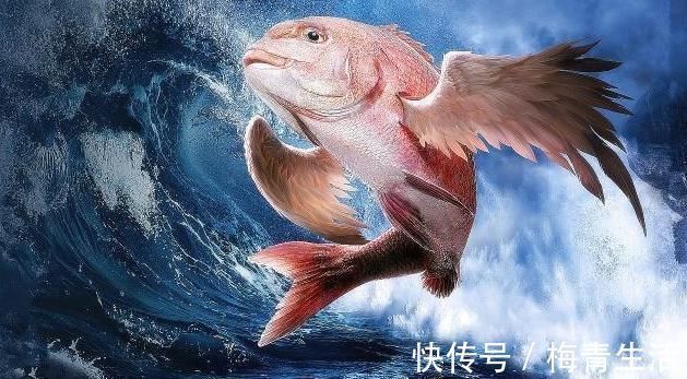 山海经#上古终南山中的水怪,《山海经》中的飞鱼,以及座驾的天体