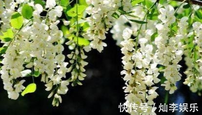 杨桃|女性不妨坚持吃四种养生食物,调经补血,净化血液,好处多多