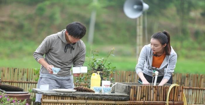 《向往的生活》中国风海报，桃花朵朵开，它凭什么成为综艺黑马？