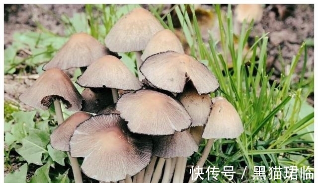 咸鱼翻身|30天内财运旺到家，4大生肖大小财不断，开启捞金模式