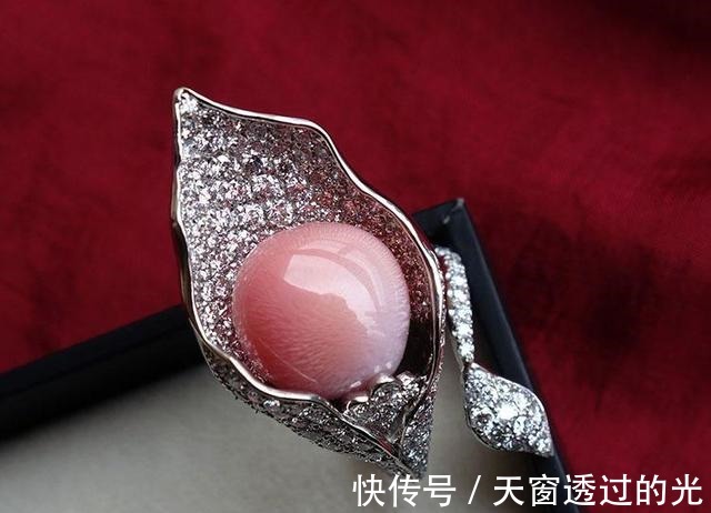 海螺&最珍贵的有机宝石,珍珠中的稀有品种,不了解它,就别说爱珍珠