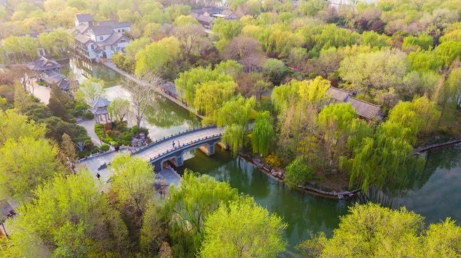 荷花|这座齐鲁古城已美了上千年，四季绚烂皆美景！没来过就太遗憾了