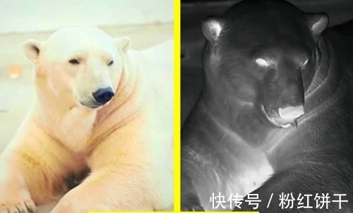 冷知识普及：12个存在的有趣事实，但很多人也许并不清楚