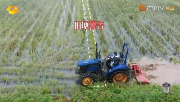 向往的生活5 《向往的生活》桃花源农耕生活引共鸣