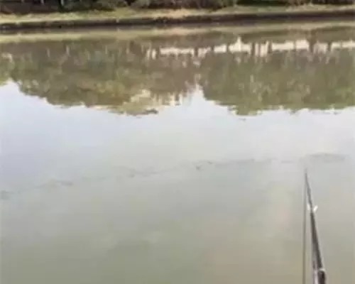 冬季鱼难钓,野钓难在哪,学会这三招冬季野钓收获满满