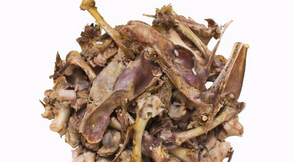 花根|又脏又讨人嫌的它,催花效果比磷酸二氢钾好