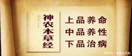 神奇!它竟然可以抑制糖尿病 !