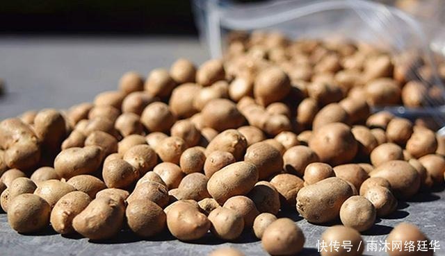 山药棍|山药豆和山药到底是啥关系?哪个营养好