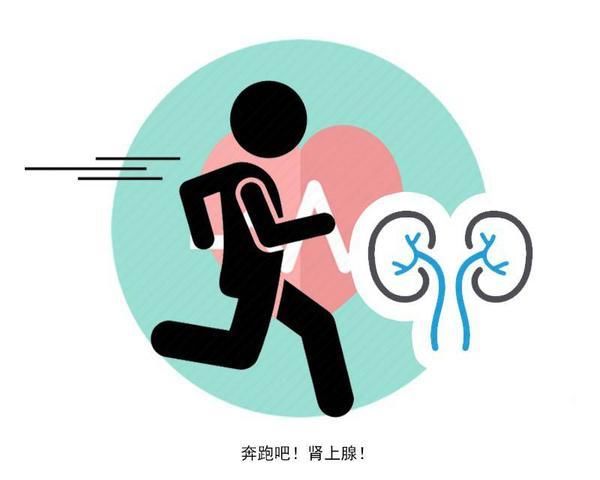 尿液|你每天的尿液“健康”吗？4个判定标准，需要警惕