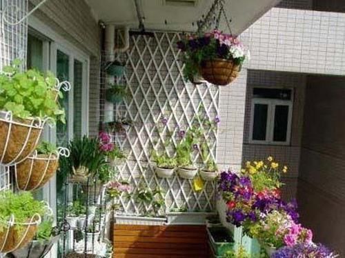 阳台太小又想养花怎么办老花农教你几招,阳台立马变花园