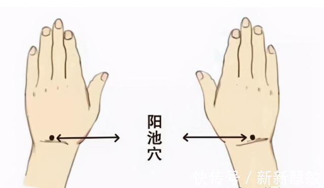 阳池|人体自带一个“小太阳”,手脚冰凉,腹痛腹泻,一按就灵