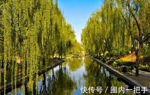 诗人@元好问的一首绝句,明白晓畅,随口吟出,却朗朗上口