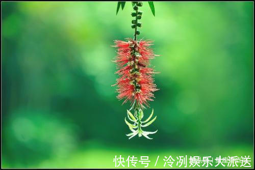 乖巧|阴历哪个月出生的孩子，聪慧过人，会替父母分忧解难，大有出息