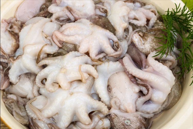 煮八爪鱼，别等水开再下锅，不然嚼不动，渔民教你3招，鲜香爽脆