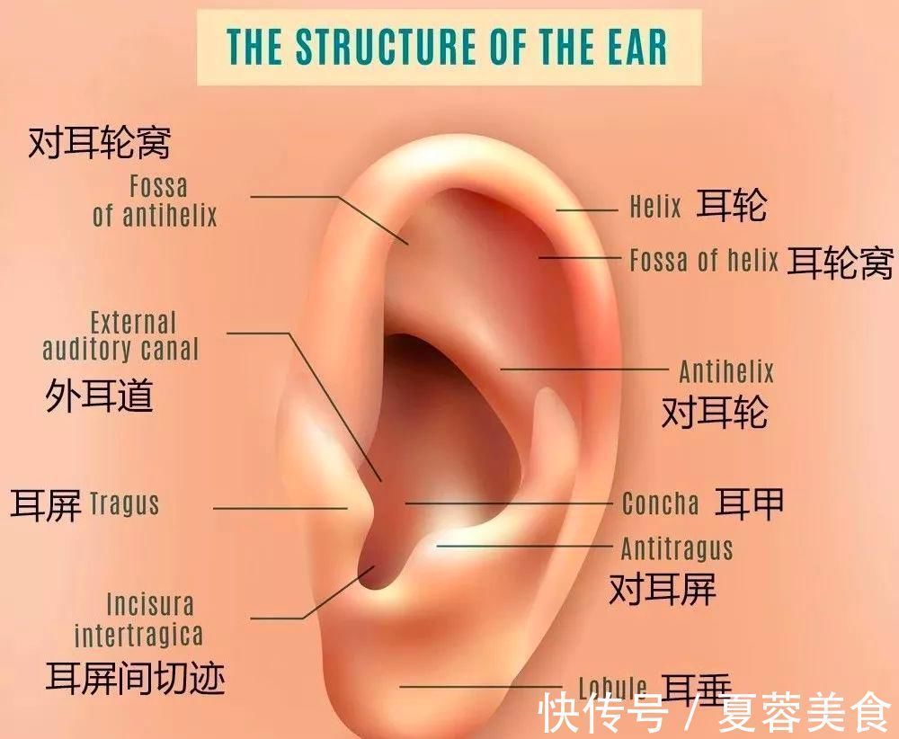 按摩|睡前顺手做1事,简单几分钟,助睡眠、补肾气,肾一天比一天好!