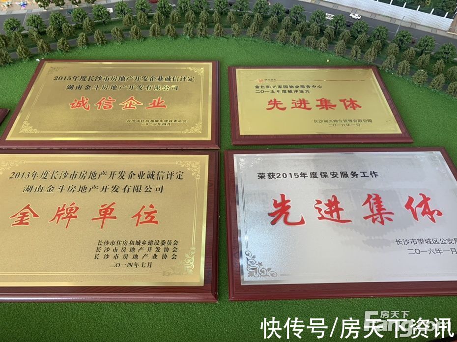 新消息|从玛丽的花园现场发来一条项目新消息，请查看