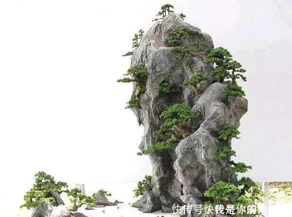 植株|大爷用石头、盘子来养花,布局造景,这就是山水盆景的魅力!