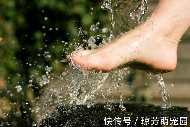 行气解郁|40岁后，女性迎来保养关键期，坚持4大好习惯，让更年期晚点来