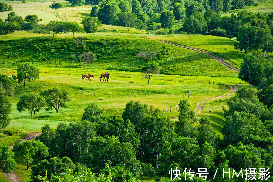 唐卡|亲子营路线推荐！这个夏天，带神兽们去这些地方玩吧