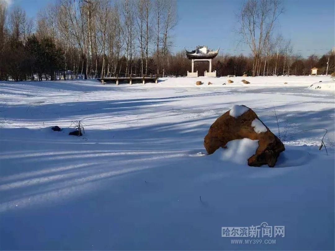 亭园|中国亭园不闭园，拍照打卡赏雪绝佳