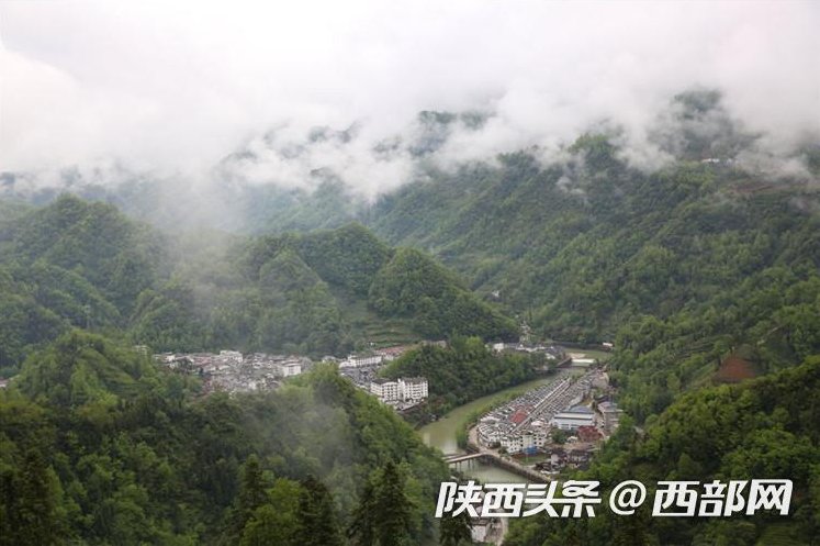 陕西启动网上茶博会 带你去陕南看最美茶园