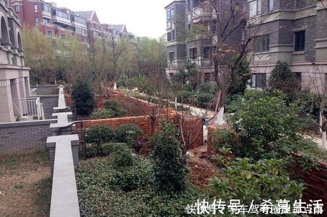 居住|一楼“带院的房子”好不好能不能买谈谈居住体验!