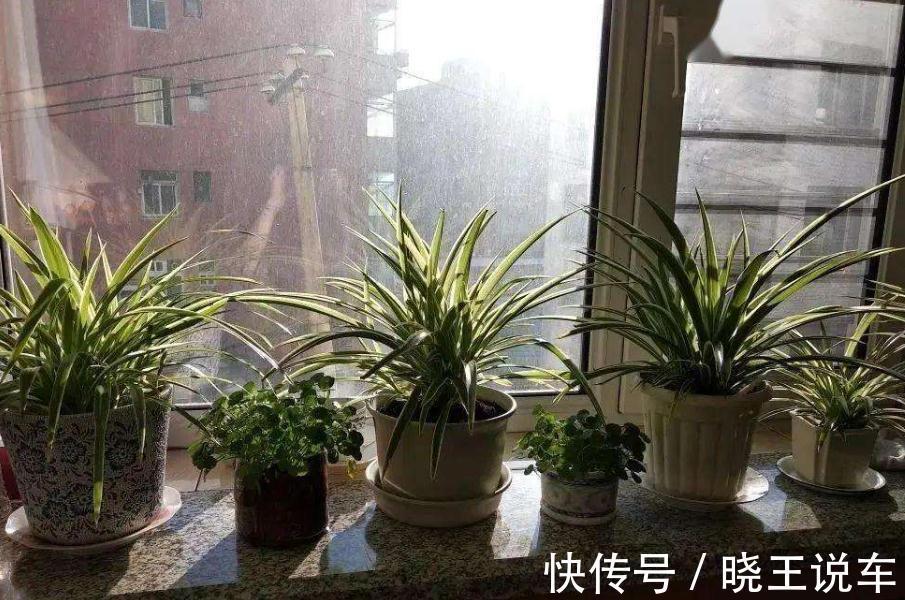 掌握住5个技巧,有没有经验无所谓,却能轻松养好花