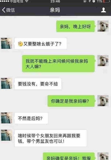 承包|天天笑话：新郎和司仪的对话，承包了你这一年的笑点