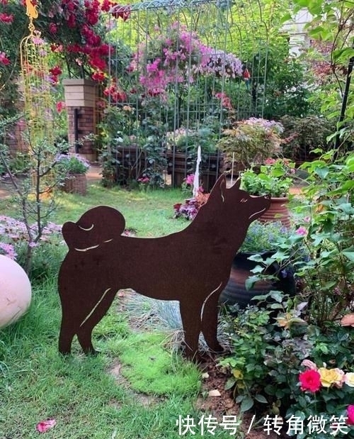 想有个带院子的房子,看花开叶落一辈子,让生活变成一件浪漫的事