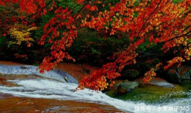 深藏不露|李煜一首深藏不露的词,全文无一怨字,却写出了痴情人最深的怨念